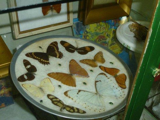 Museo Histórico Fuerte Independencia